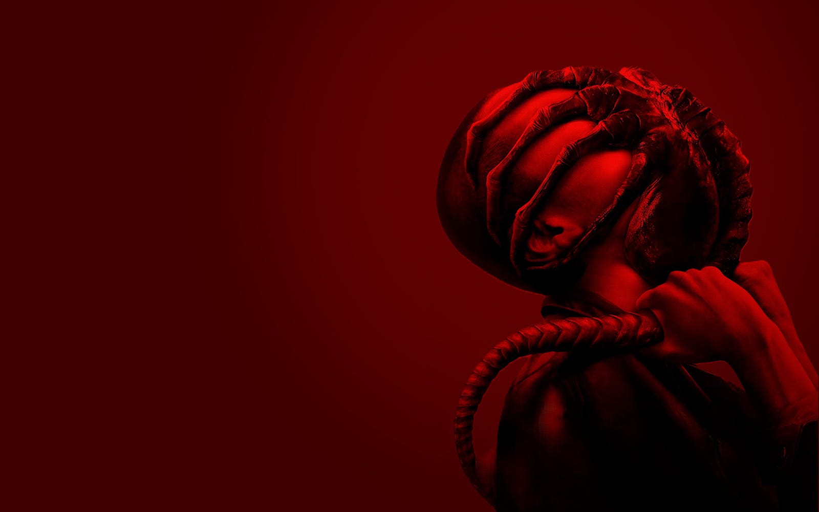 “Alien:Romulus”, de Fede Álvarez indica ser um novo caminho para franquia